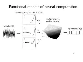 spike-triggering stimulus features