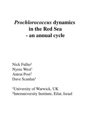 Prochlorococcus dynamics in the Red Sea - an annual cycle