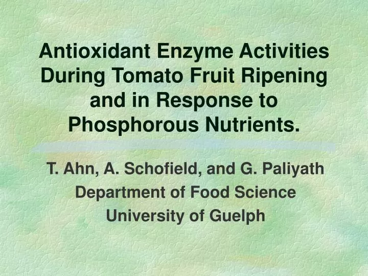 antioxidant enzyme activities during tomato fruit ripening and in response to phosphorous nutrients