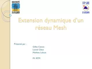 extension dynamique d un r seau mesh