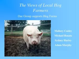 The Views of Local Hog Farmers