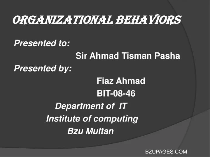 organizational behaviors
