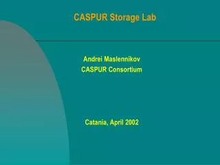 CASPUR Storage Lab