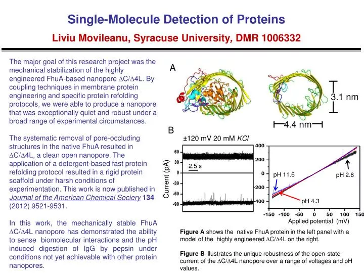 single molecule detection of proteins liviu movileanu syracuse university dmr 1006332