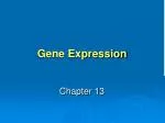 Gene Expression - slide 1