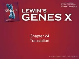 Chapter 24 Translation