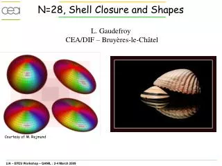 N=28, Shell Closure and Shapes