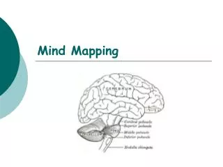 Mind Mapping