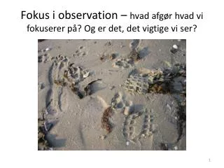 fokus i observation hvad afg r hvad vi fokuserer p og er det det vigtige vi ser