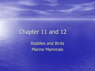 Chapter 11 and 12