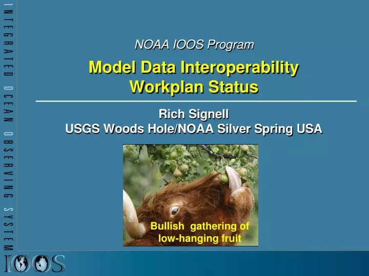 noaa ioos program model data interoperability workplan status