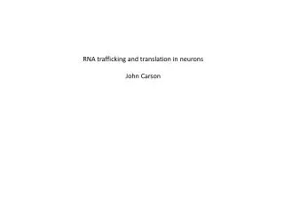 RNA trafficking and translation in neurons John Carson