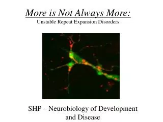More is Not Always More: Unstable Repeat Expansion Disorders
