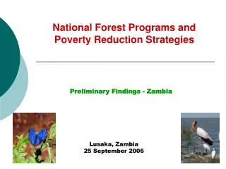 National Forest Programs and 	Poverty Reduction Strategies