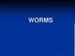 WORMS