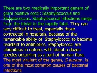 Staphylococci &amp; Streptococci are non motile &amp; do not form spores.