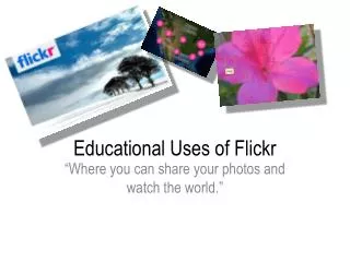 Educational Uses of Flickr