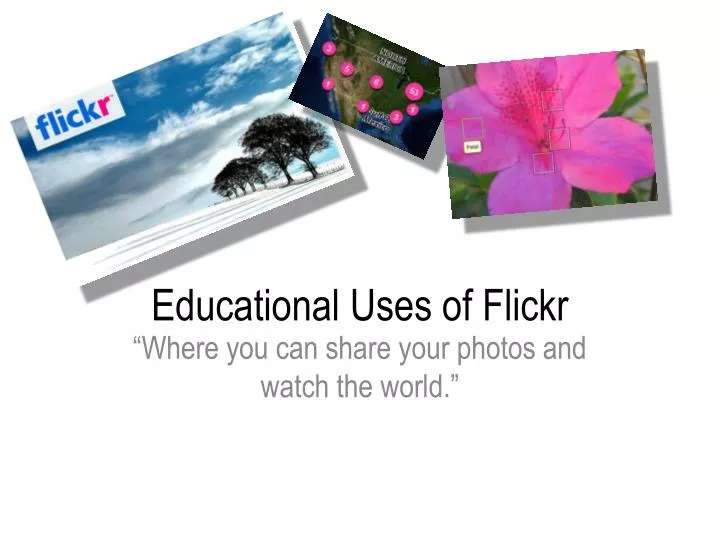 educational uses of flickr