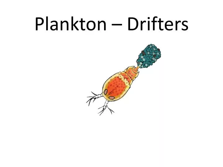 plankton plant drawing