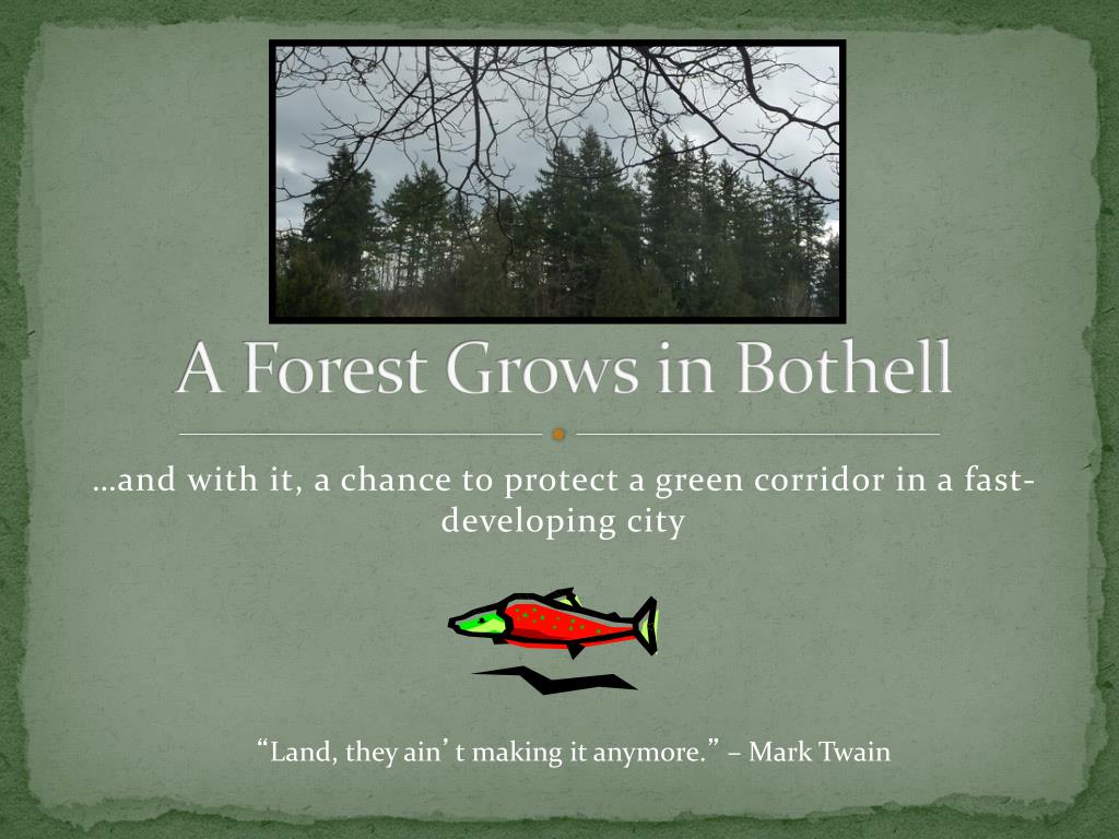 PPT - A Forest Grows in Bothell PowerPoint Presentation, free download ...