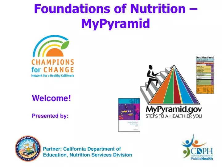 foundations of nutrition mypyramid