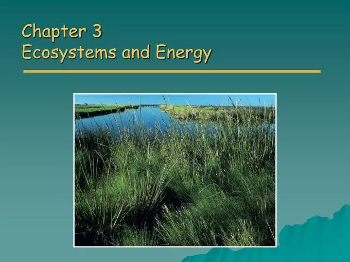 chapter 3 ecosystems and energy