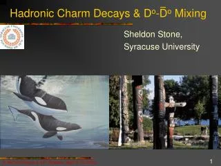 Hadronic Charm Decays &amp; D o -D o Mixing