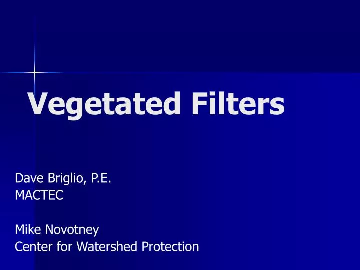 vegetated filters