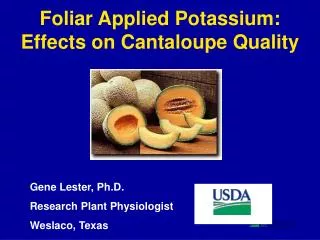Foliar Applied Potassium: Effects on Cantaloupe Quality
