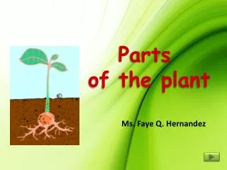 parts of the plant