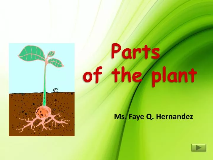 parts of the plant