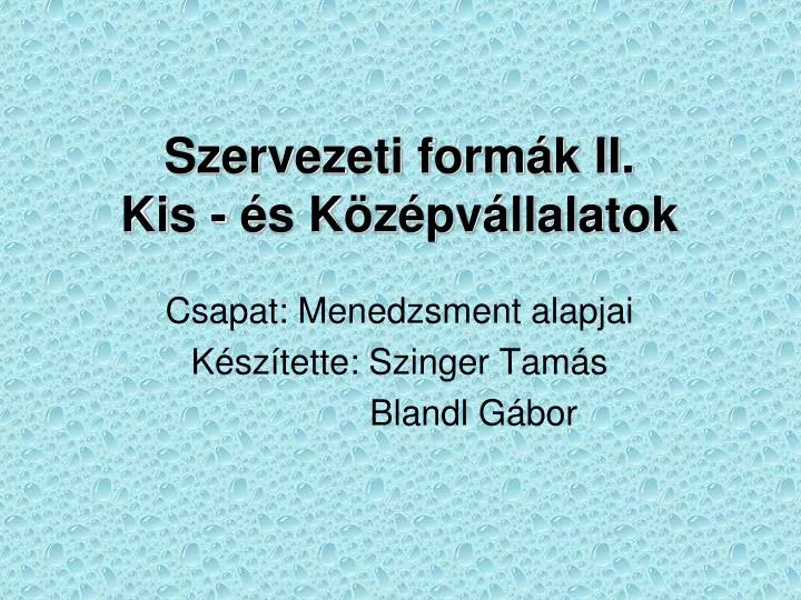 szervezeti form k ii kis s k z pv llalatok