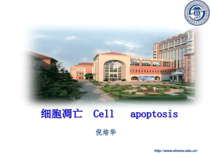 cell apoptosis