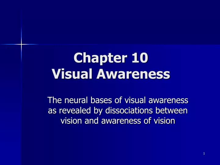 chapter 10 visual awareness
