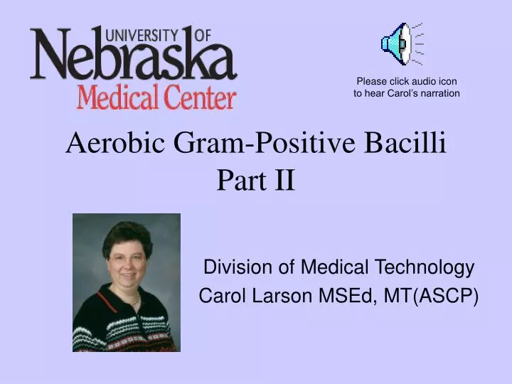 aerobic gram positive bacilli part ii