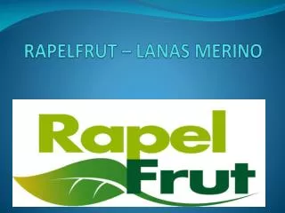 rapelfrut lanas merino