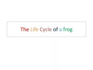 The Life Cycle of a frog
