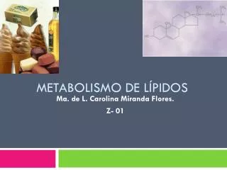 metabolismo de l pidos