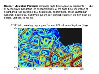 FTLE field revealing Lagrangian Coherent Structures of Agulhas Rings
