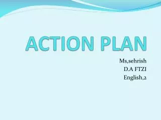 action plan