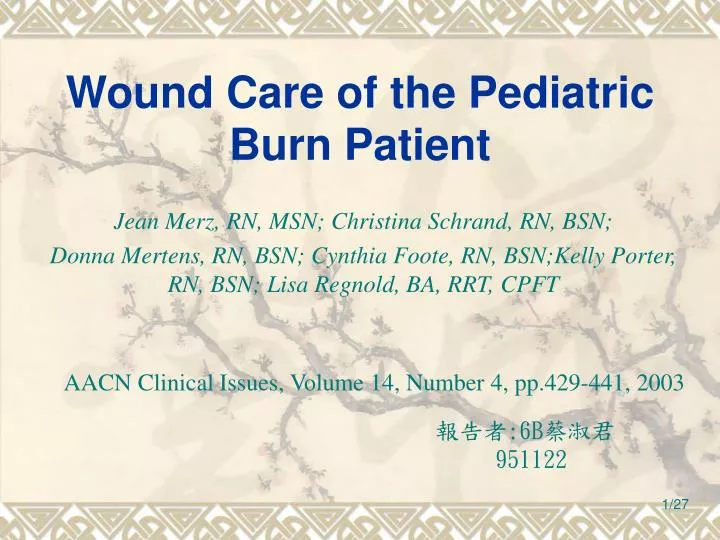 wound care of the pediatric burn patient