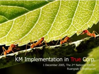 KM Implementation in True Corp. 1 December 2005, The 2 nd National KM Fair