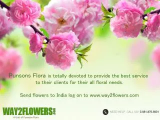 Send Online Flowers Delivery to Chandigarh