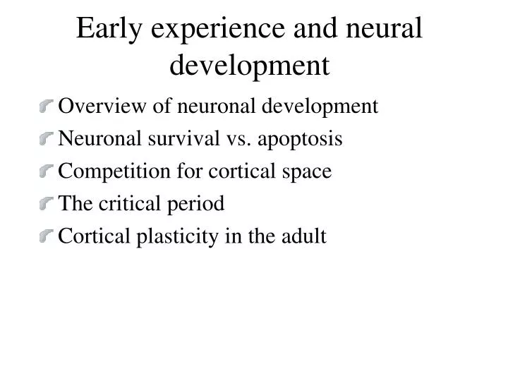 early experience and neural development