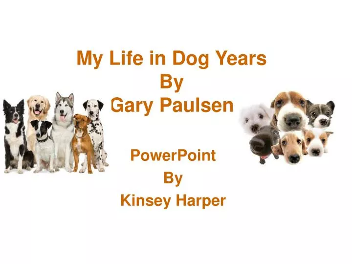 my life in dog years by gary paulsen
