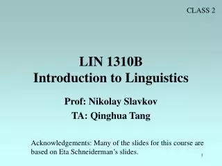 LIN 1310B Introduction to Linguistics