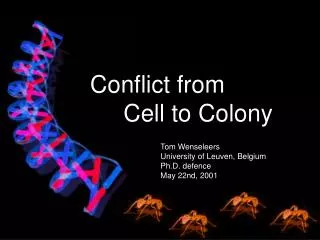 Conflict from Cell to Colony