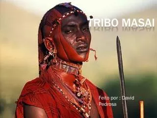 tribo masai