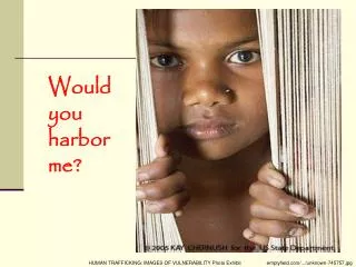 Would you harbor me?
