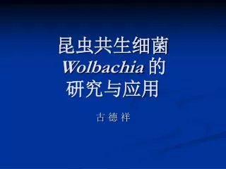 wolbachia